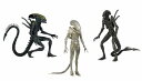 【まもなく再入荷 1607】NECA Alien シリーズ7 SET OF 3(3体セット)/エイリアン