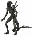 【まもなく再入荷 1607】NECA Alien シリーズ7 AVP Warrior/エイリアン
