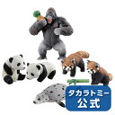 アニア 平成を彩る動物たちセット(ゴマフアザラシ+レッサーパ...