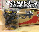 【国産】福岡県産 博多ピオーネ【福岡県産 JA全農ふくれん ぶどう ブドウ 葡萄 ピオーネ 種なし 家庭用 贈り物 贈答 お祝い 敬老の日 お彼岸 お返し 赤秀 】