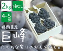 【4〜5房】福岡県産 種なし巨峰 2kg【JAふくおか八女】【葡萄 ブドウ 巨峰 贈答用 お中元 贈り物 ギフト 進物 石原センテニアル お歳暮】
