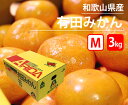 和歌山県産 完熟有田みかん( 3kg )【 M 和歌山県産 甘い みかん 柑橘 有田みかん ありたみかん ありだみかん プレゼント 特別 フルーツ 果物 ギフト 贈り物 贈答 お歳暮 】