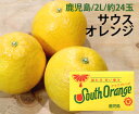 鹿児島県産 米ノ津柑橘組合 サウスオレンジ【鹿児島県産 米ノ津柑橘組合 サウスオレンジ ジューシーフルーツ オレンジ グレープフルーツ 柑橘 河内晩柑 ジューシー 女性 おいしい 家庭用 贈り物 贈答 お祝い お返し 約24玉 2L 青秀】