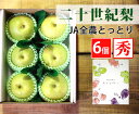 【国産 赤秀】鳥取県産 二十世紀梨 【6個】【定番 フルーツ 梨 鳥取県 秋 家庭用 贈り物 贈答 お祝い お返し 彼岸 みずみずしい プレゼント 少量】