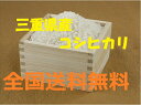 【新米・24年産】　こしひかり　10kg 送料無料