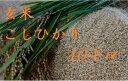 新米【28年産】玄米・こしひかり 10kg 送料無料