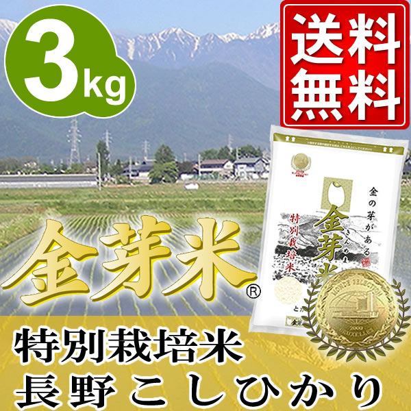 金芽米　特別栽培米【長野こしひかり100%】3kg【23年産】【送料無料】【丸の内タニタ食堂】【★モンドセレクション2012金賞★】【金芽米は胚芽米とは異なるお米です】