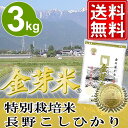 金芽米　特別栽培米【長野こしひかり100%】3kg【23年産】【送料無料】【丸の内タニタ食堂】【★モンドセレクション2012金賞★】【金芽米は胚芽米とは異なるお米です】