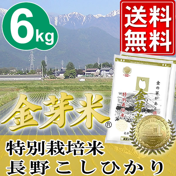 金芽米　特別栽培米【長野こしひかり100%】6kg【3kg 2袋】【23年産】【送料無料】【丸の内タニタ食堂】【★モンドセレクション2012金賞★】【金芽米は胚芽米とは異なるお米です】世界で認められた味と品質モンドセレクション2012金賞受賞長野県産こしひかりを使用した金芽米【金芽米は胚芽米とは異なるお米です】★23年産新米★