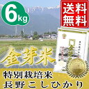 金芽米　特別栽培米【長野こしひかり100%】6kg【3kg 2袋】【23年産】【送料無料】【丸の内タニタ食堂】【★モンドセレクション2012金賞★】【金芽米は胚芽米とは異なるお米です】