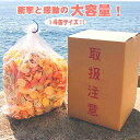 笑い込上げる大容量にみんな笑顔！老舗の 高級 えびせんべい メガ盛り 1.5Kg 約50人前 1500g あす楽 送料無料