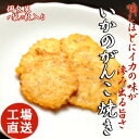 いかのがんこ焼き がんこ焼き いかせんべい せんべい 煎餅 ...