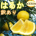 【送料無料】【訳あり】はるか 5kg