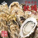 宮城県・岩手県産 牡蠣 5kg 送料無料 加熱用 殻付き 40から50個入り 蒸し焼き 焼き牡蠣 炊き込みご飯 アヒージョ BBQ お取り寄せ グルメ おとりよせ 冷凍