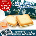 【全国 送料250円】【最安値に挑戦】【楽天1位獲得】【12...