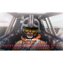 【クリアランス】スター・ウォーズ 1/6スケールフィギュア【ヒーロー・オブ・レベリオン】ルーク・スカイウォーカー(ローグ中隊/スノースピーダー・パイロット版)【送料無料】