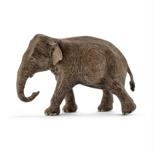 Schleich シュライヒ インド象（メス）（14753）