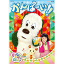 【DVD】NHK-DVD いないいないばあっ!かんぱーい!!