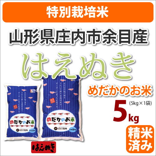 ≪特別栽培米≫山形県庄内市余目産めだかのお米「はえぬき」生産者「米シスト庄内8人衆」5kg【がんばろう！日本】【23年産】【あす楽対応_関東】【あす楽_土曜営業】【楽ギフ_のし】