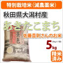 新米≪特別栽培米(減農薬米)≫秋田県大潟村産「あきたこまち」...
