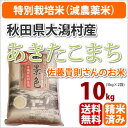 【新米】【29年産】秋田県大潟村産「あきたこまち」