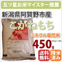 新潟県阿賀野市産ミネラル栽培米「こがねもち」450g【23年産】【メール便につきポスト投函・同梱・代引き・日時指定不可】【新潟県】【こがねもち】【メール便】【送料無料】