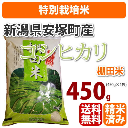 ≪特別栽培米≫新潟県安塚町産棚田米「コシヒカリ こしひかり」450g【23年産】【メール便につきポスト投函・同梱・代引き・日時指定不可】【コシヒカリ】【メール便】【送料無料】