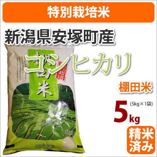 ≪特別栽培米≫新潟県安塚町産棚田米「コシヒカリ こしひかり」5kg【がんばろう！日本】【23年産】