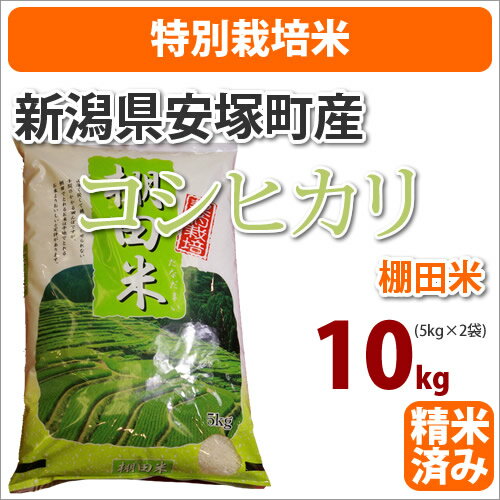 ≪特別栽培米≫新潟県安塚町産棚田米「コシヒカリ」10kg【北海道・沖縄・九州・一部離島は送料別途500円発生】【一部送料無料】