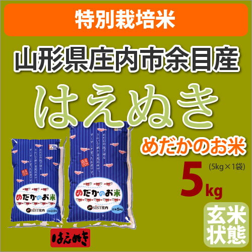 ≪特別栽培米≫山形県庄内市余目産めだかのお米「はえぬき」生産者「米シスト庄内8人衆」玄米5kg【がんばろう！日本】【23年産】