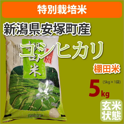 ≪特別栽培米≫新潟県安塚町産棚田米「コシヒカリ こしひかり」玄米5kg【がんばろう！日本】【23年産】