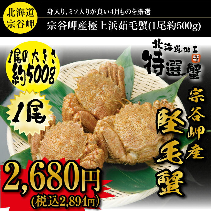 【 カニ の旬にこだわりました！】稚内宗谷岬産の極上堅 毛ガニ 1尾約500g（ボイル）【…...:tppn:10000009