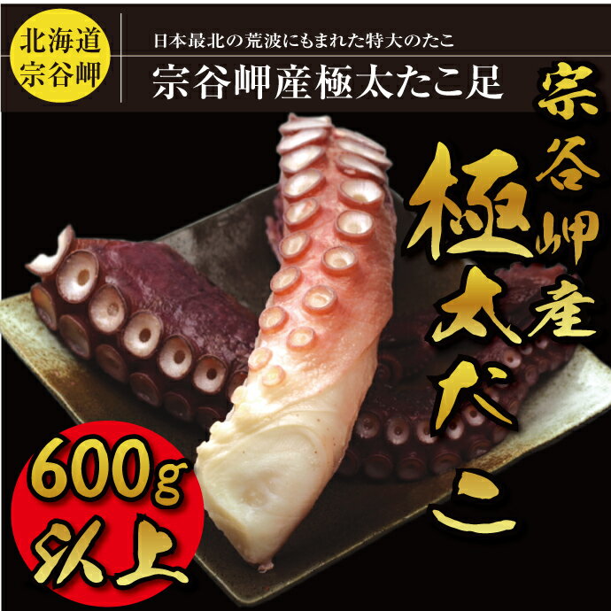 【北海道最北 宗谷岬 産】【極】極太の刺身用 たこ 足1本600g以上【 ギフト 】( 魚…...:tppn:10000988