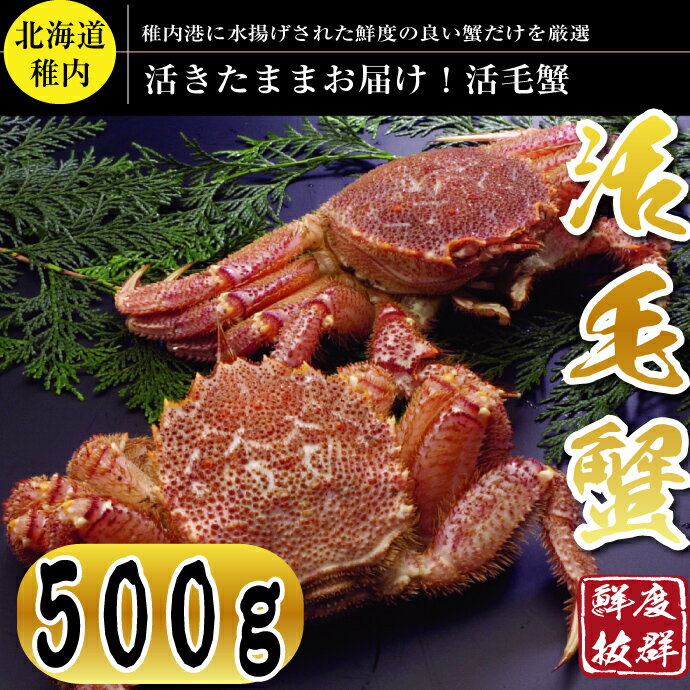 【活かに直送52%OFF】かにの街から活きたままお届け♪活です生です！極上活毛蟹500g前後【ボイル対応可能】【お届け日指定不可】【お中元】