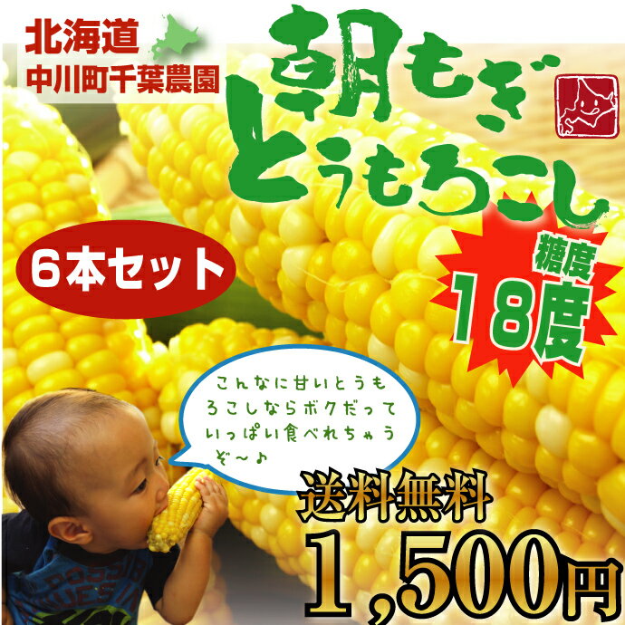 【送料無料1,500円】極甘！糖度18度のフルーツコーン★千葉農園の朝もぎとうもろこし『ゆめのコーン』お試し6本セット（約2．5K）【9月上旬〜中旬頃発送予定】