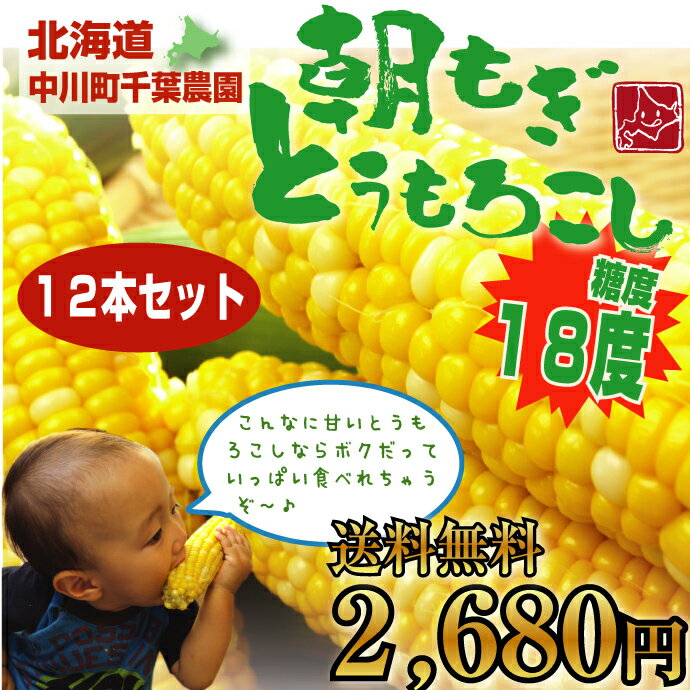 【送料無料2,680円】極甘！糖度18度のフルーツコーン★千葉農園の朝もぎとうもろこし『ゆめのコーン』たっぷり12本セット（約5K）【9月上旬〜中旬頃発送予定】【smtb-t】生でも食べれちゃう♪とぉ〜っても甘い！もぎたてスイートコーンをお届け！