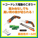P12倍★特典付き・クーポン付き☆即日発送★ヤードフォース正...