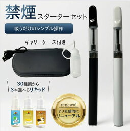 eGo Auto Kit 2本セット <strong>vape</strong><strong>スターターキット</strong> 電子タバコ リキッド3本プレゼント 初心者にも簡単 父の日プレゼント　禁煙 お試し アップグレード版【送料無料】