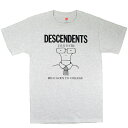 DESCENDENTS ǥǥ Milo Goes To College T