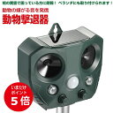 【期間限定ポイント5倍】【安心の返品保証付き】猫よけ 庭に入って ふん や 尿 をして困る!お困り動物を超音波で優しく対策 野良猫 のら ノラ 野良 ねこ ネコ 鳥よけ 鳥 強力 超音波 コウモリ 猫 フン 対策 グッズ 糞 犬 避け 鳥害 超音波動物撃退器 糞 尿 獣害 ガレージ