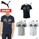 PUMA 【RedBull Tシャツ】プーマ レッドブル Tee RBR グラフィックTシャツ 572750 ■レーシング コットン フェス キャンプ