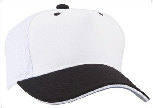 https://thumbnail.image.rakuten.co.jp/@0_mall/transports/cabinet/descente-dat3/ds-c708-swnv.jpg?_ex=500x500