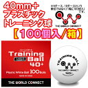 ★即納/あす楽★【THE WORLD CONNECT】ザ・ワールドコネクト/TWC DV001A ワールド・トレ
