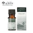 甘さのあるオレンジの香り