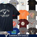 メール便 送料無料 アメリカンイーグル メンズ 半袖 Tシャツ グラフィック アップリケ tシャツ サイズ ホワイト ブラック ネイビー 人気 ブランド アメカジ カジュアル おしゃれ かっこいい かわいい 夏物