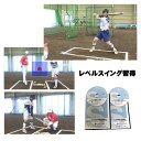 ソフトボール・レベルスイング習得プログラム〜打率を上げるコツ〜2枚組DVD