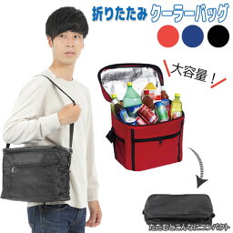 <strong>保冷バッグ</strong> クーラーバッグ 折りたたみ クーラーバック 保冷 バッグ 保温 折りたたみ 弁当 ランチバッグ クーラーボックス レジ袋 レジカゴバッグ エコバッグ マチ 広い メンズ レディース キッズ おしゃれ コンパクト ファスナー 釣り 1000円ポッキリ 送料無料