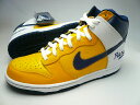 nike dunk hi premium 画像