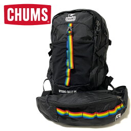 【SALE】 CHUMS <strong>チャムス</strong> Spring Dale 25L スプリングデール25リットル CH60-3548