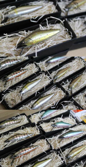 STAYGOLD(ステイゴールド)BLACKFLAG50S【3.7g】